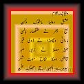 Punjabi 01 * 18.04.2007 * 433 x 583 * (24KB)